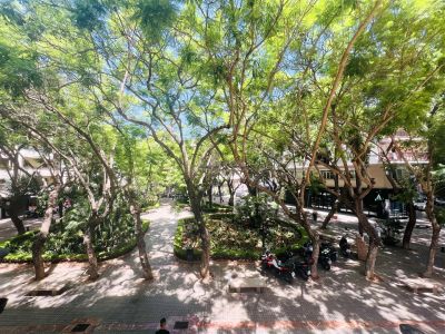 Bonito y luminoso apartamento en venta en Marbella Centro