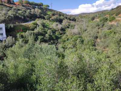 Great plot in El Rosario, Marbella East