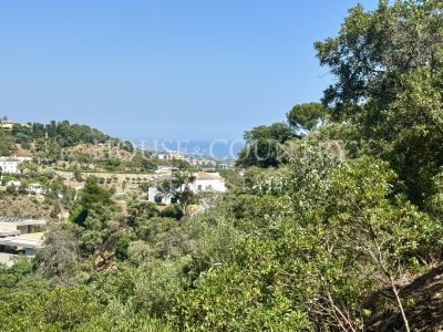 Parcela en El Madroñal, Benahavis