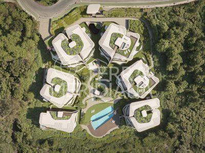 Ground Floor Apartment in Sotogrande Alto, Sotogrande