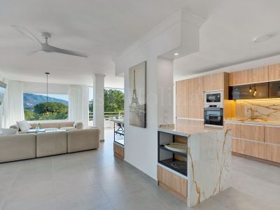 Duplex in Nueva Andalucia, Marbella