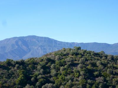 Plot in New Golden Mile, Estepona