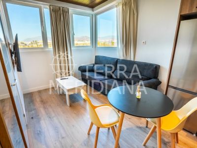 Penthouse in Nueva Andalucia, Marbella