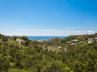 Plot in El Madroñal, Benahavis