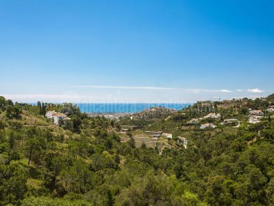 Parcela en El Madroñal, Benahavis
