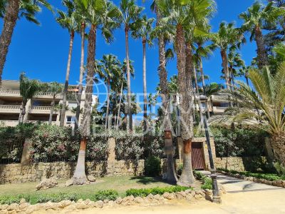 Apartment in Las Cañas Beach, Marbella