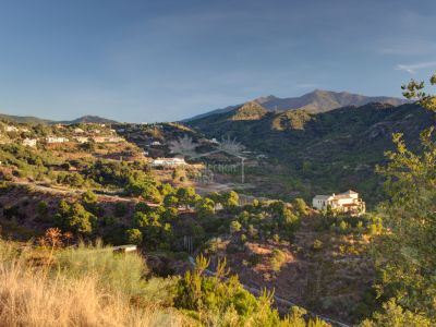 Plot in Monte Mayor, Benahavis