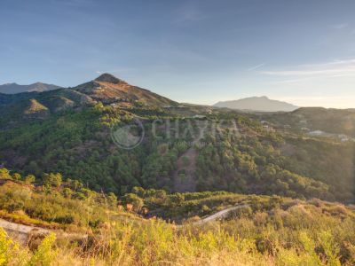 Parcella in Monte Mayor, Benahavis