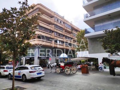 Apartment in Playa Bajadilla - Puertos, Marbella