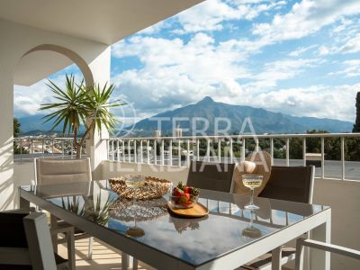 Apartment in Nueva Andalucia, Marbella