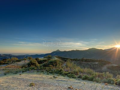 Plot in La Zagaleta, Benahavis
