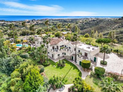 Villa in El Padron, Estepona