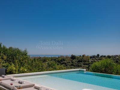 Villa in Los Flamingos, Benahavis