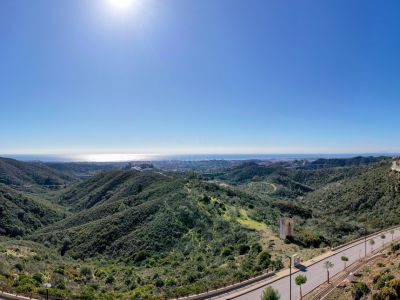 Plot in Real de La Quinta, Benahavis