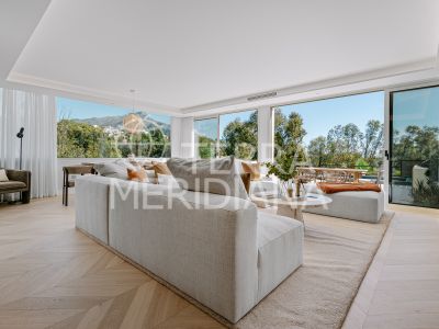Ground Floor Apartment in Nueva Andalucia, Marbella