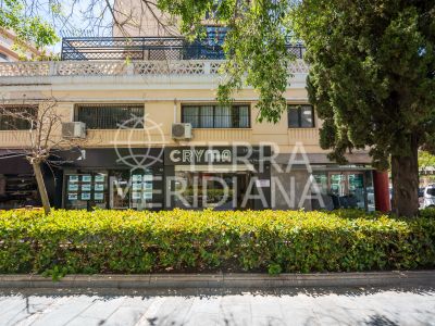 Commercial Premises in Ricardo Soriano, Marbella