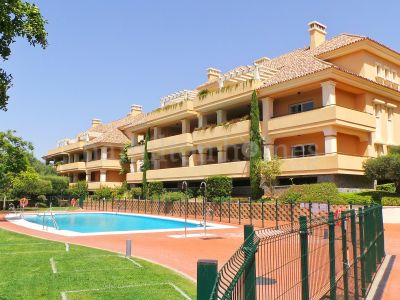 Development in Sotogrande