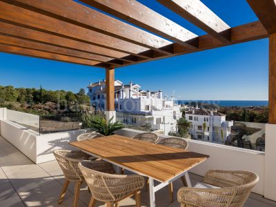 Development in Casares Golf, Casares