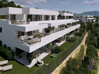 Development in Casares