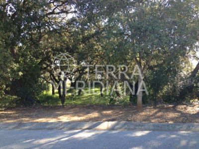 Plot in Sotogrande Alto Central, Sotogrande