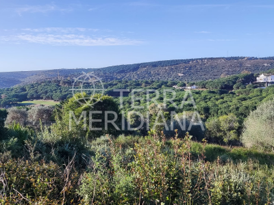 Plot in Almenara, Sotogrande