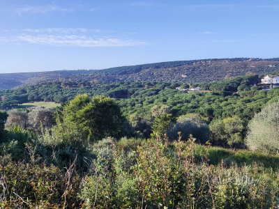 Plot in Almenara, Sotogrande