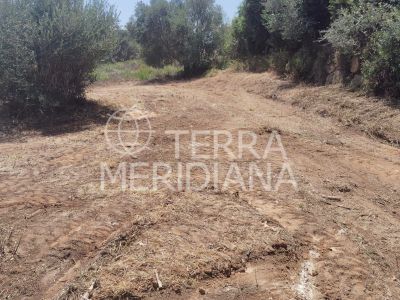 Plot in Sotogrande Alto, Sotogrande