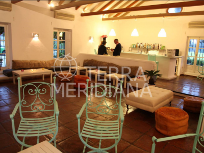 Commercial Premises in Sotogrande