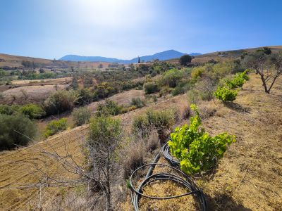 Parcela en Coin Centro, Coin