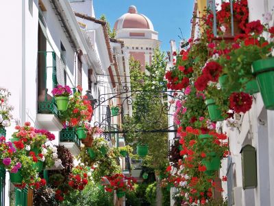 Restaurant in Estepona Old Town, Estepona