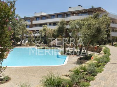 Apartment in Sotogrande