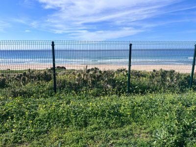 Plot in Bolonia, Tarifa