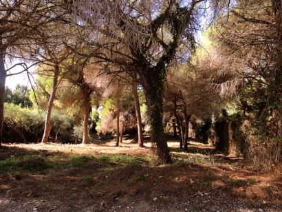 Plot for sale in Elviria, Marbella East