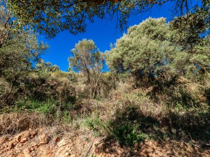Grundstück zu verkaufen in Los Altos de los Monteros, Marbella Ost