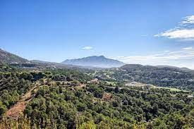 Plot for sale in Monte Mayor, Benahavis