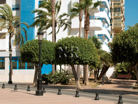 Commercial Premises in Marbella Centro on the seafront for sale