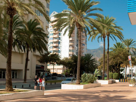 Commercial Premises in Marbella Centro on the seafront for sale