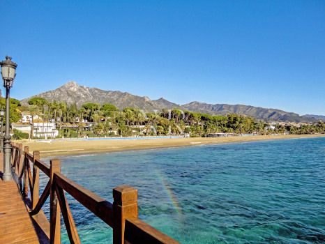 Cafetería a un paso del Paseo Marítimo de Marbella en venta