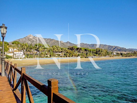 Cafétéria à deux pas du Paseo Marítimo de Marbella à vendre