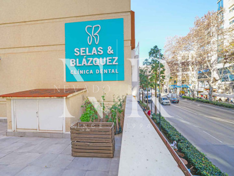Bureau d'affaires dans l'Avenida Ricardo Soriano à vendre