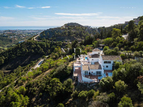 Classic Andalusian-style villa for sale in El Madroñal