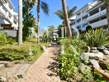 Apartamento en Las Cañas Beach en alquiler