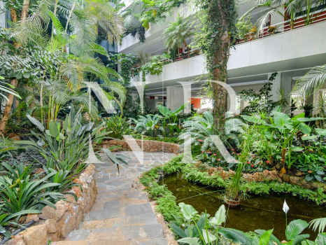 Appartement à Marina Mariola à louer