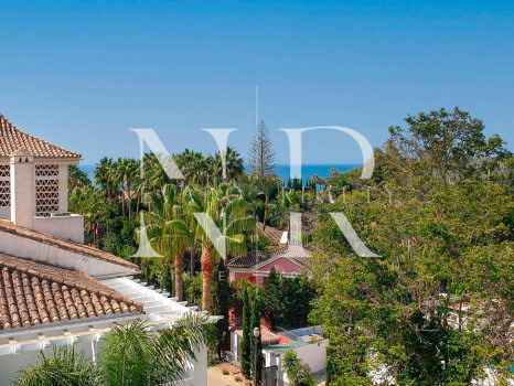 Duplex penthouse in Las Cañas Beach for short term rental.