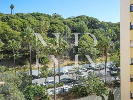 Flat in Ricardo Soriano very close to the beach for short term rent.