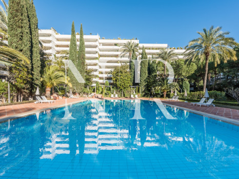 Apartamento Don Gonzalo de alquiler