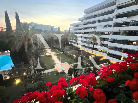 Apartamento Don Gonzalo de alquiler