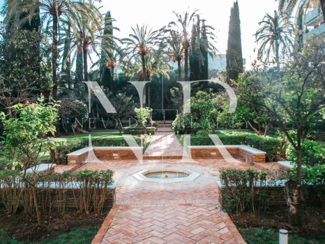 Apartamento Don Gonzalo de alquiler