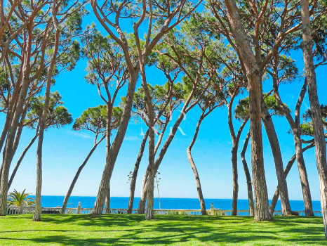 Penthouse à Alhambra del Mar à vendre