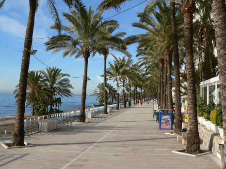 Flat in milla de oro for sale